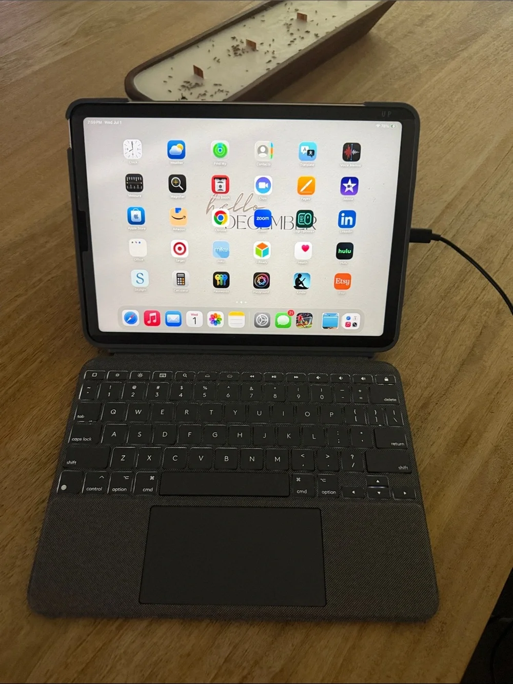 Apple Tablet Smart Cover Case in Dark Gray